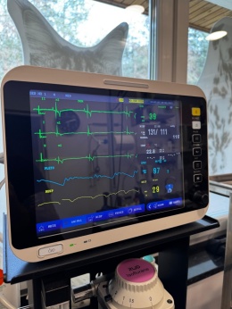 Kardiomonitor dla zwierząt Vet-VM12