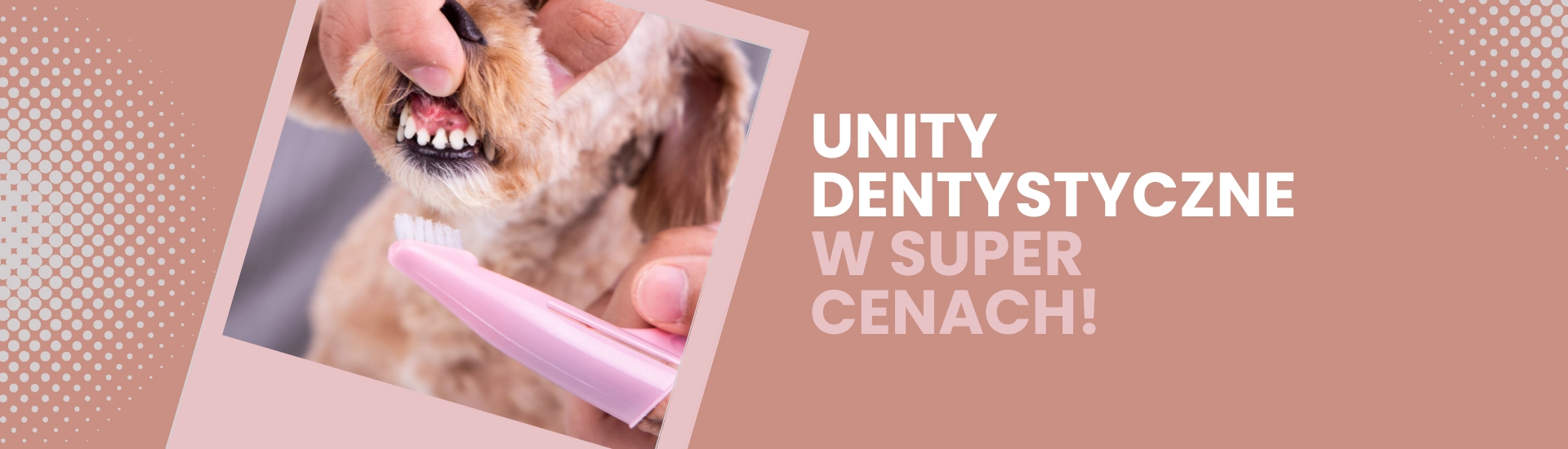 unity dentystyczne